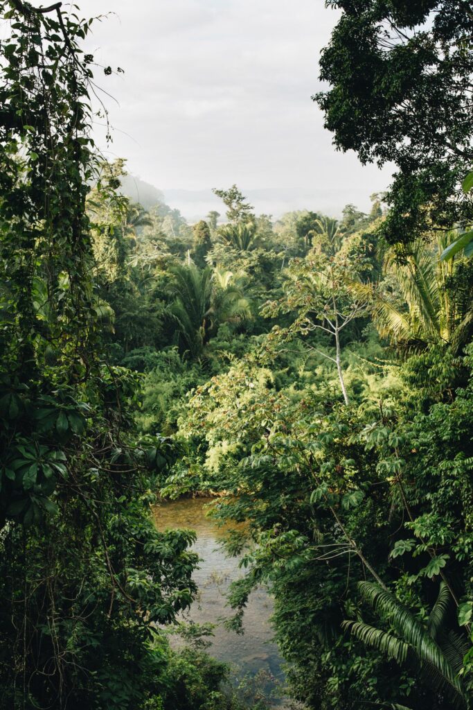 Belize jungle and island diptych with a riverside pool and a turquoise flat.