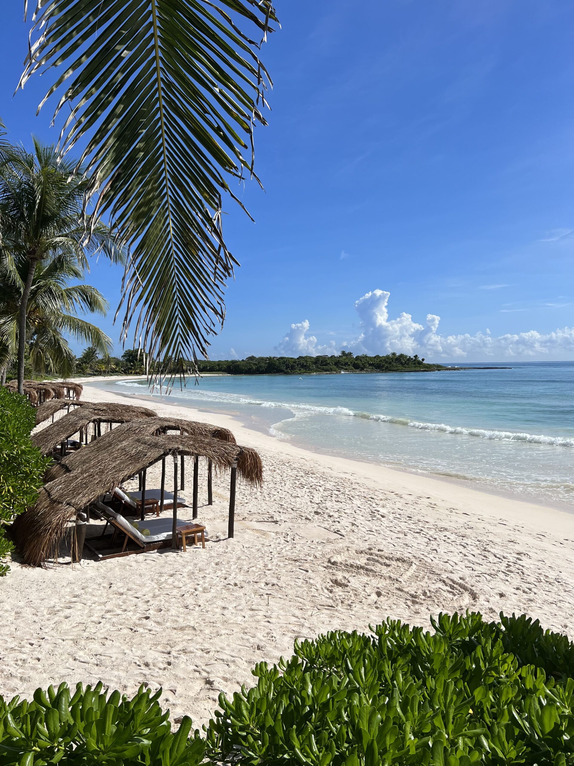 Leafy jungle terrace and quiet Riviera Maya beach in a diptych