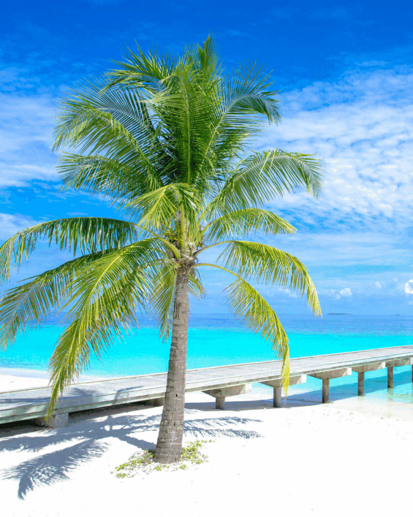 Belize jungle and island diptych with a riverside pool and a turquoise flat.